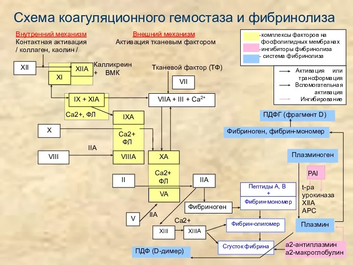 Схема коагуляционного гемостаза и фибринолиза Внутренний механизм Внешний механизм Контактная