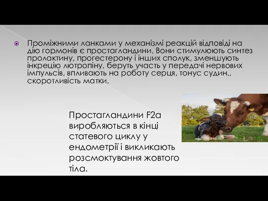 Проміжними ланками у механізмі реакцій відповіді на дію гормонів є