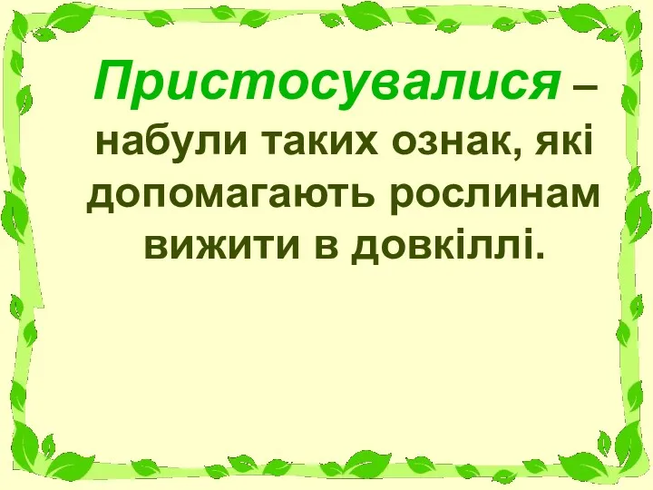 Пристосувалися – набули таких ознак, які допомагають рослинам вижити в довкіллі.