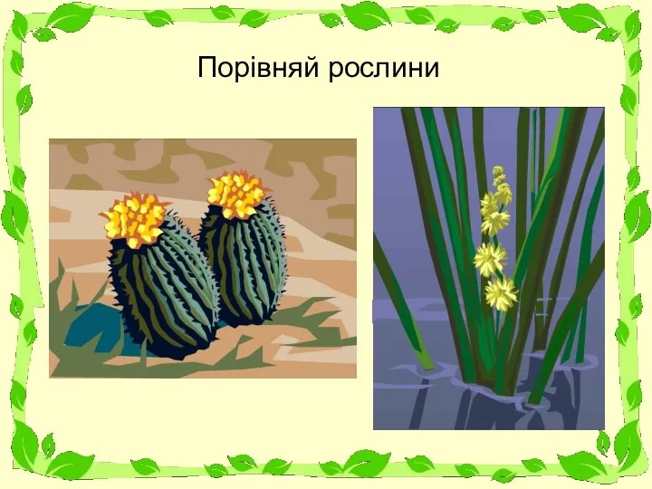 Порівняй рослини