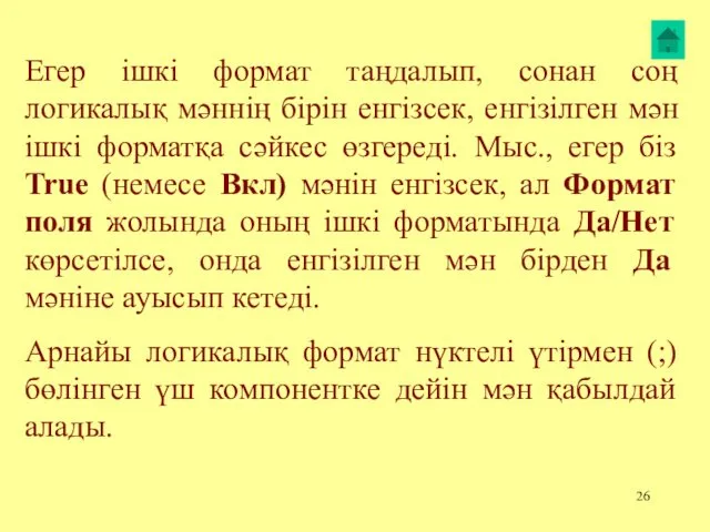 Егер ішкі формат таңдалып, сонан соң логикалық мәннің бірін енгізсек,