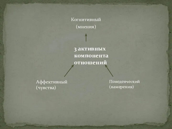 Когнитивный (мнения) 3 активных компонента отношений Аффективный (чувства) Поведенческий (намерения)