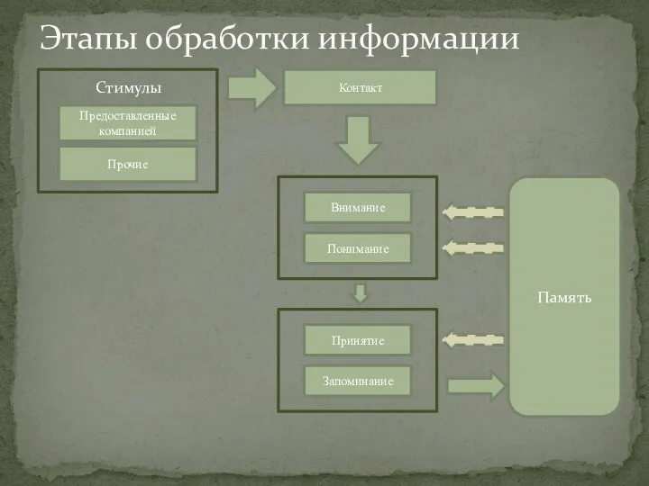 Этапы обработки информации Предоставленные компанией Прочие Стимулы Контакт Внимание Понимание Принятие Запоминание Память