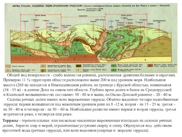 Общий вид поверхности - слабо волнистая равнина, расчлененная древними балками