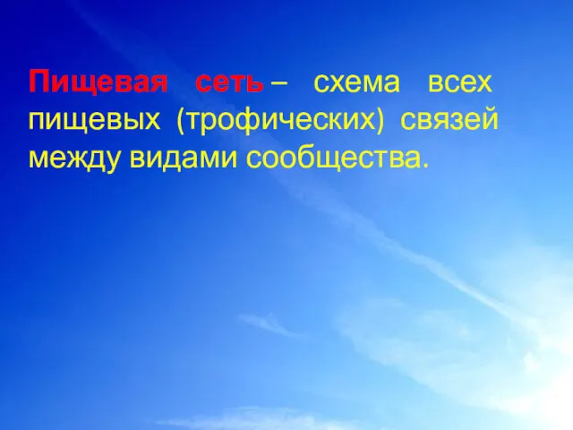 Пищевая сеть – схема всех пищевых (трофических) связей между видами сообщества.