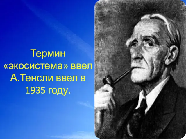 Термин «экосистема» ввел А.Тенсли ввел в 1935 году.