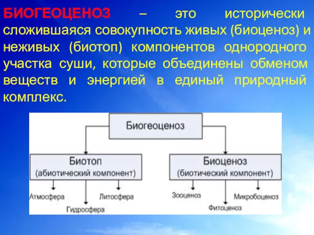 БИОГЕОЦЕНОЗ – это исторически сложившаяся совокупность живых (биоценоз) и неживых