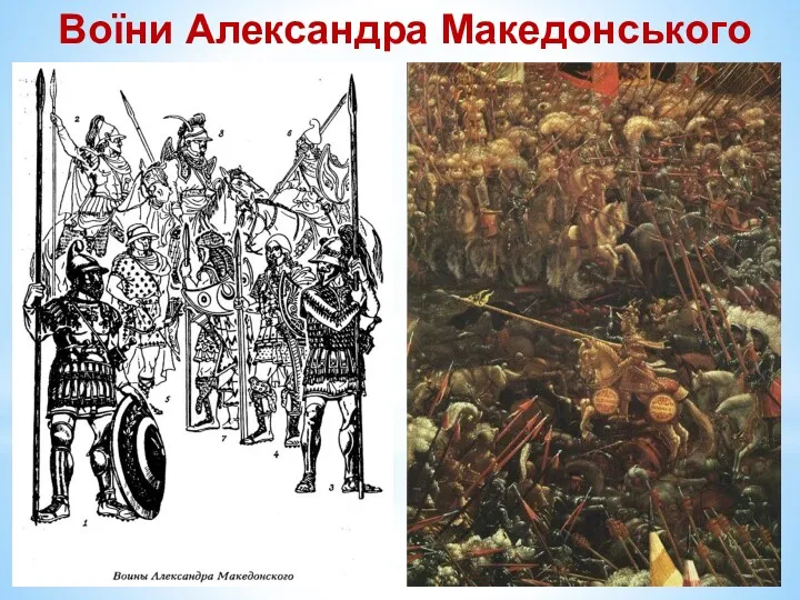 Воїни Александра Македонського