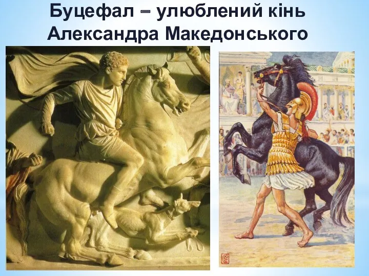 Буцефал – улюблений кінь Александра Македонського
