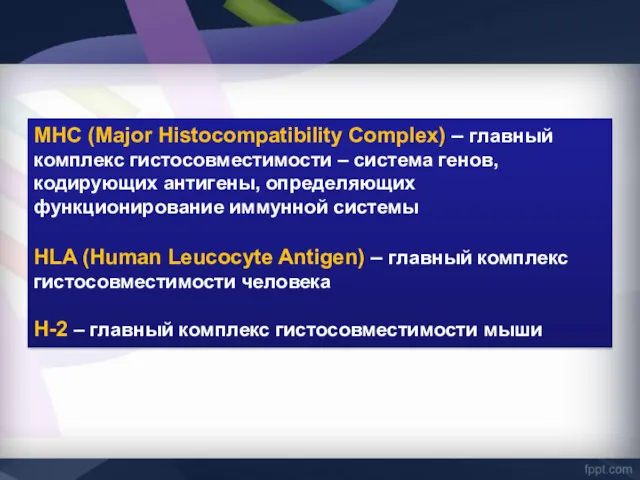 МНС (Major Histocompatibility Complex) – главный комплекс гистосовместимости – система