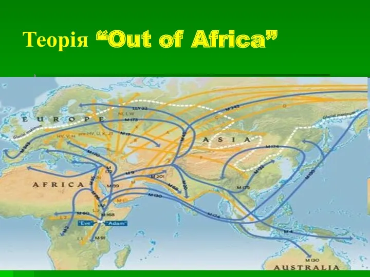 Теорія “Out of Africa”