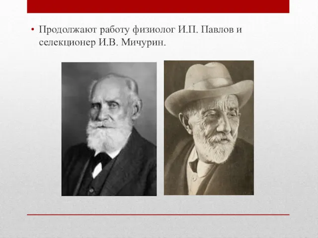 Продолжают работу физиолог И.П. Павлов и селекционер И.В. Мичурин.