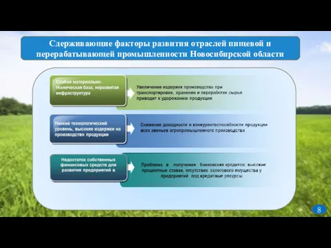 Сдерживающие факторы развития отраслей пищевой и перерабатывающей промышленности Новосибирской области 8