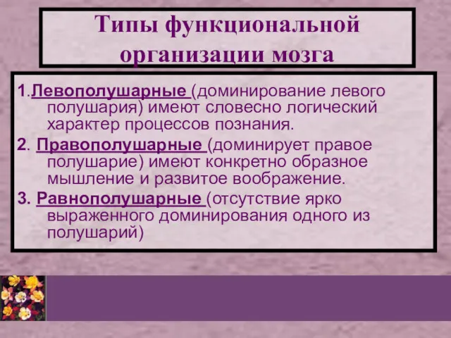 Типы функциональной организации мозга 1.Левополушарные (доминирование левого полушария) имеют словесно логический характер процессов