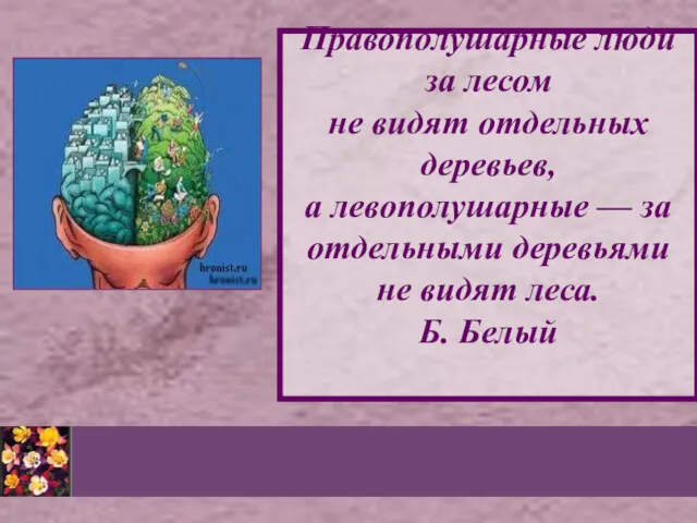 Правополушарные люди за лесом не видят отдельных деревьев, а левополушарные — за отдельными