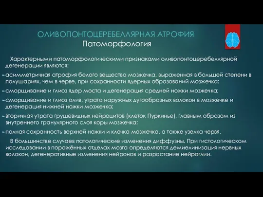 ОЛИВОПОНТОЦЕРЕБЕЛЛЯРНАЯ АТРОФИЯ Патоморфология Характерными патоморфологическими признаками оливопонтоцеребеллярной дегенерации являются: асимметричная