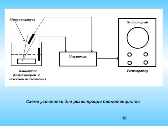 Схема установки для регистрации биопотенциалов