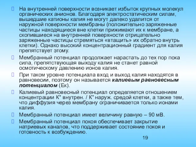 На внутренней поверхности возникает избыток крупных молекул органических анионов. Благодаря