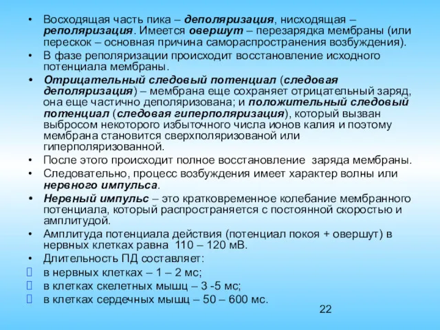 Восходящая часть пика – деполяризация, нисходящая – реполяризация. Имеется овершут