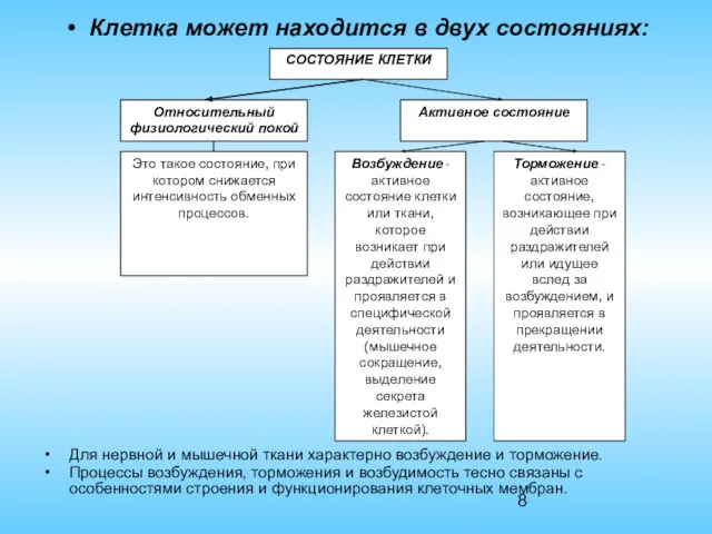 СОСТОЯНИЕ КЛЕТКИ Клетка может находится в двух состояниях: Для нервной