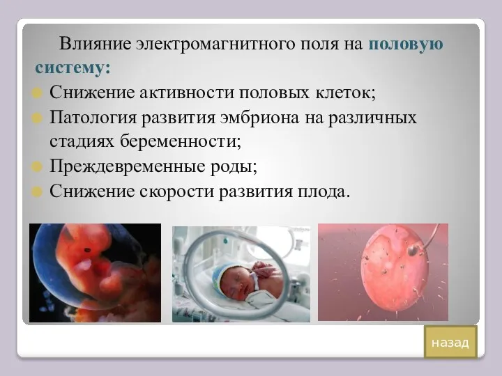 Влияние электромагнитного поля на половую систему: Снижение активности половых клеток;