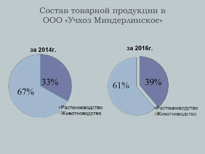 Состав товарной продукции в ООО «Учхоз Миндерлинское» 33% 67% 39%