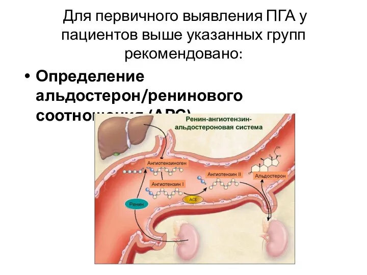 Для первичного выявления ПГА у пациентов выше указанных групп рекомендовано: Определение альдостерон/ренинового соотношения (АРС)