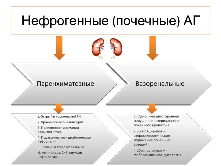 Нефрогенные (почечные) АГ