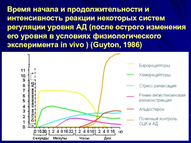 Время начала и продолжительности и интенсивность реакции некоторых систем регуляции