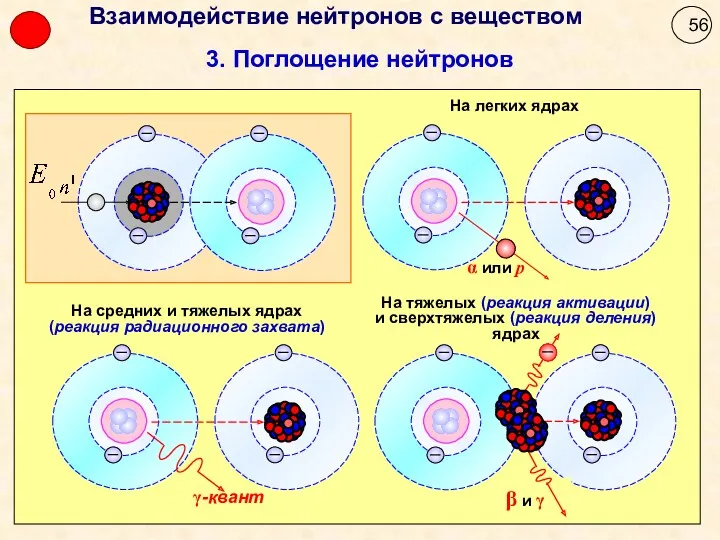 3. Поглощение нейтронов Взаимодействие нейтронов с веществом