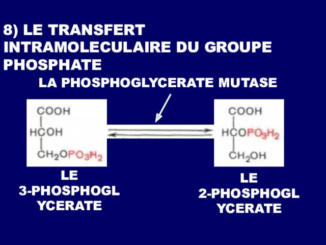 8) LE TRANSFERT INTRAMOLECULAIRE DU GROUPE PHOSPHATE