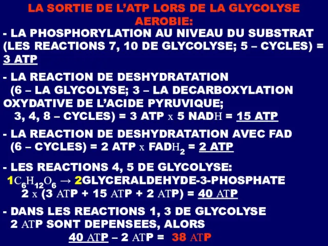 LA SORTIE DE L’ATP LORS DE LA GLYCOLYSE AEROBIE: -