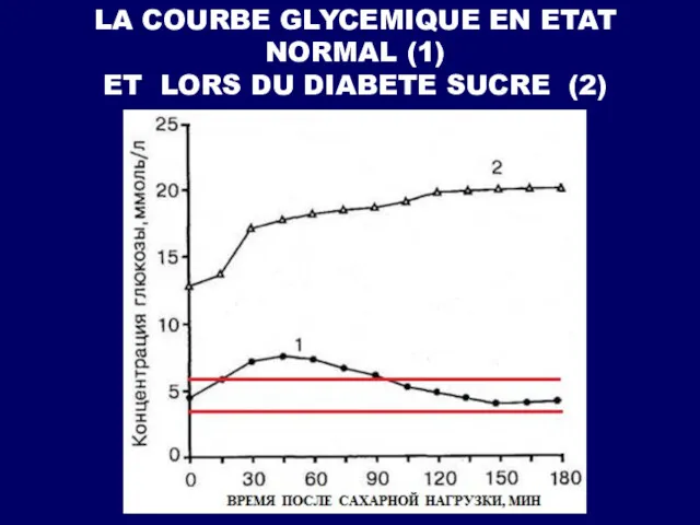 LA COURBE GLYCEMIQUE EN ETAT NORMAL (1) ET LORS DU DIABETE SUCRE (2)