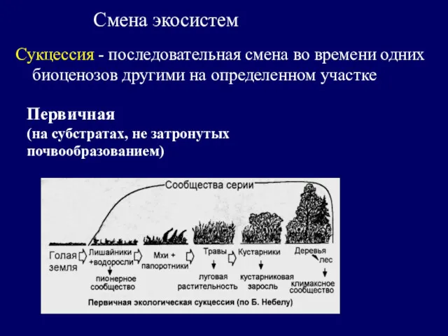 Смена экосистем Сукцессия - последовательная смена во времени одних биоценозов