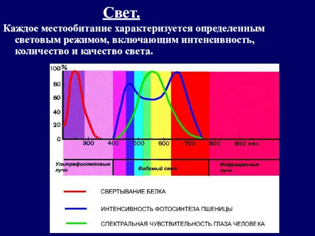 Свет. Каждое местообитание характеризуется определенным световым режимом, включающим интенсивность, количество и качество света.