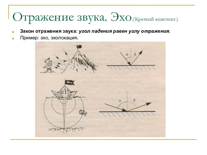 Отражение звука. Эхо.(Краткий конспект.) Закон отражения звука: угол падения равен углу отражения. Пример: эхо, эхолокация.