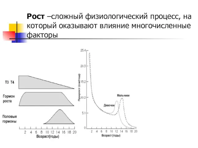 Рост –сложный физиологический процесс, на который оказывают влияние многочисленные факторы