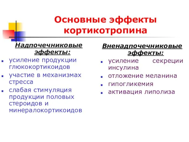 Основные эффекты кортикотропина Надпочечниковые эффекты: усиление продукции глюкокортикоидов участие в