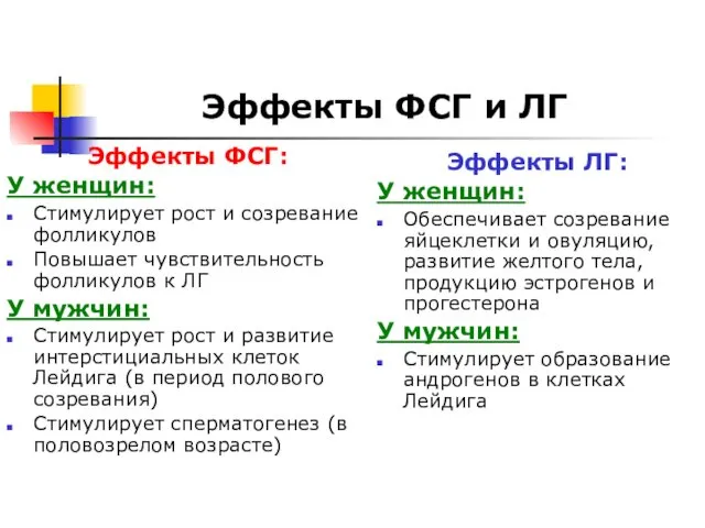 Эффекты ФСГ и ЛГ Эффекты ФСГ: У женщин: Стимулирует рост