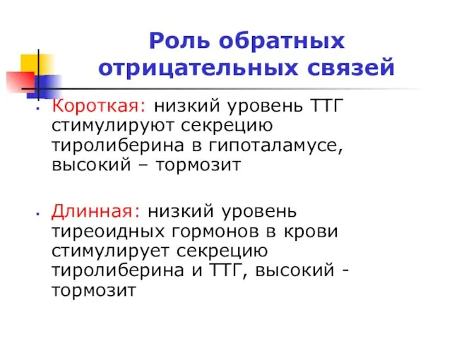 Роль обратных отрицательных связей Короткая: низкий уровень ТТГ стимулируют секрецию