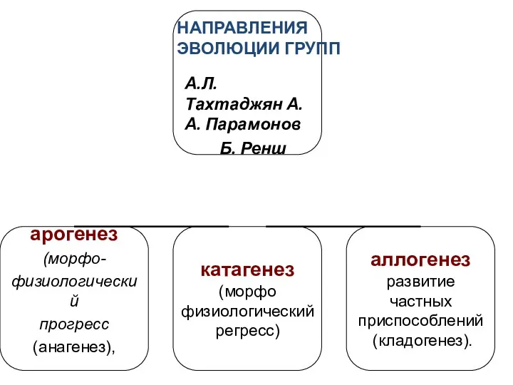 А.Л. Тахтаджян А.А. Парамонов Б. Ренш НАПРАВЛЕНИЯ ЭВОЛЮЦИИ ГРУПП