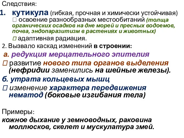 Следствия: кутикула (гибкая, прочная и химически устойчивая) ? освоение разнообразных