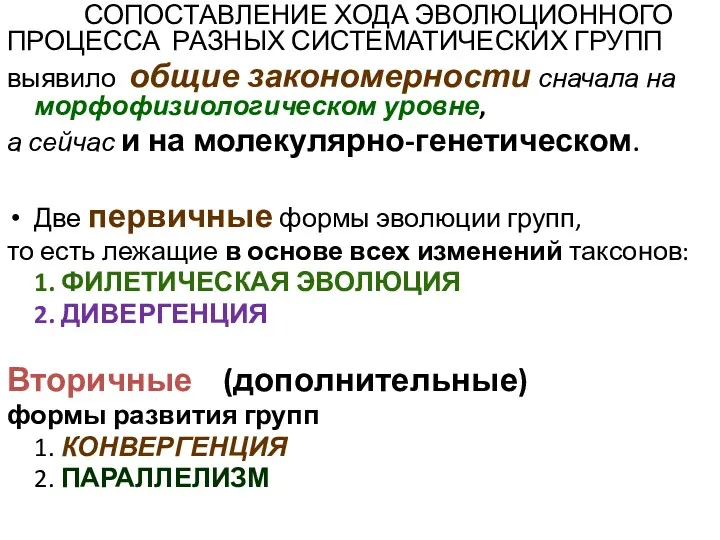 СОПОСТАВЛЕНИЕ ХОДА ЭВОЛЮЦИОННОГО ПРОЦЕССА РАЗНЫХ СИСТЕМАТИЧЕСКИХ ГРУПП выявило общие закономерности