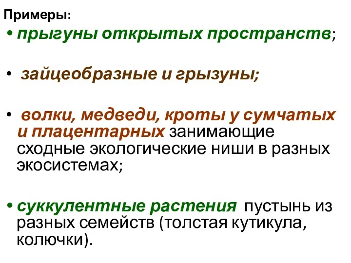 Примеры: прыгуны открытых пространств; зайцеобразные и грызуны; волки, медведи, кроты