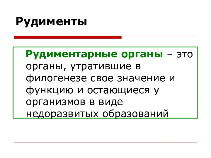 Рудименты Рудиментарные органы – это органы, утратившие в филогенезе свое