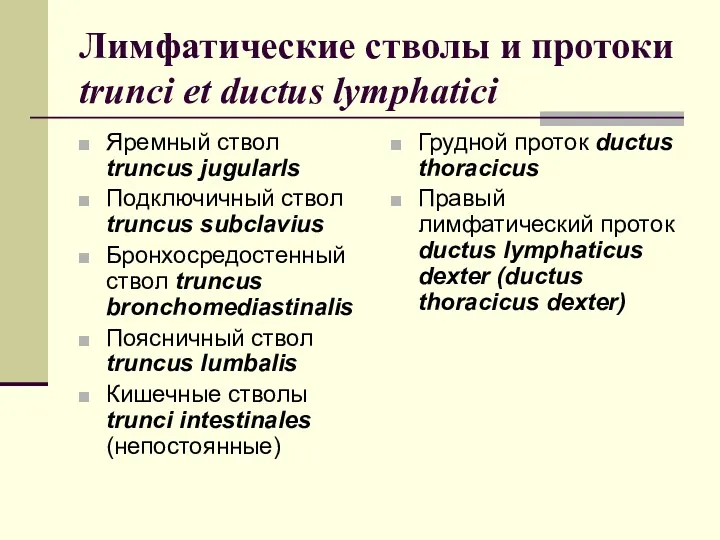 Лимфатические стволы и протоки trunci et ductus lymphatici Яремный ствол truncus jugularls Подключичный