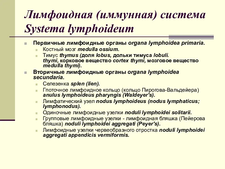 Лимфоидная (иммунная) система Systema lymphoideum Первичные лимфоидные органы organa lymphoidea