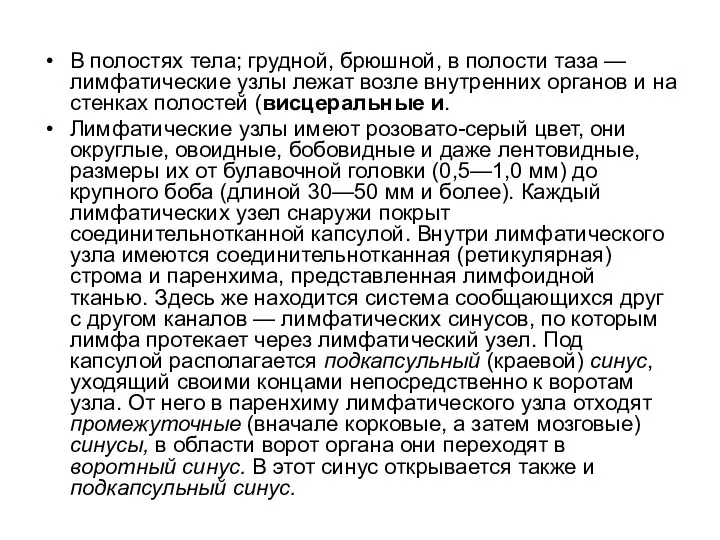 В полостях тела; грудной, брюшной, в полости таза — лимфатические узлы лежат возле