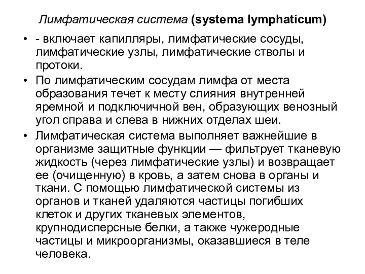 Лимфатическая система (systema lymphaticum) - включает капилляры, лимфатические сосуды, лимфатические узлы, лимфатические стволы