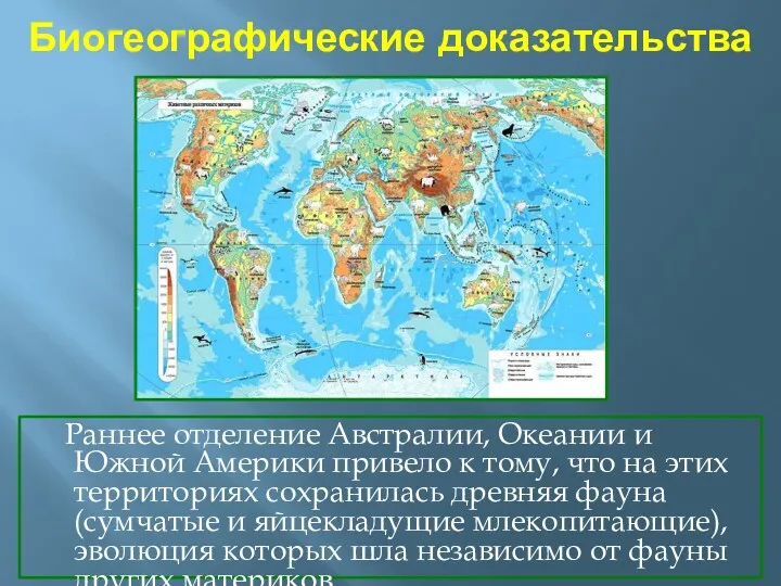 Биогеографические доказательства Раннее отделение Австралии, Океании и Южной Америки привело